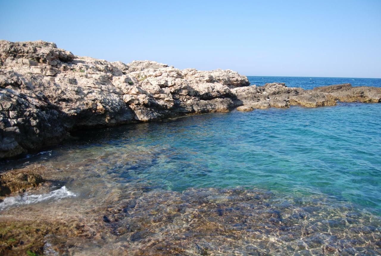 Eagle'S Nest Villa Polignano a Mare Bagian luar foto