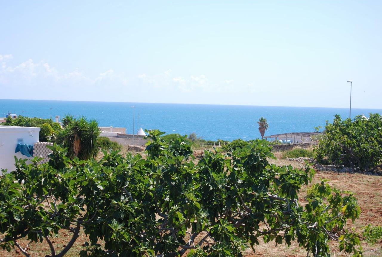 Eagle'S Nest Villa Polignano a Mare Bagian luar foto